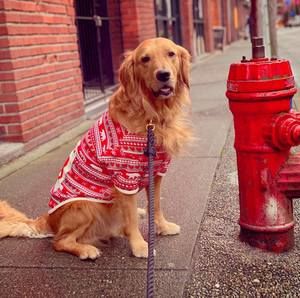 Meet your Posher, Sabrina